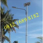 Street Light Pole Two In One 50 watt  2